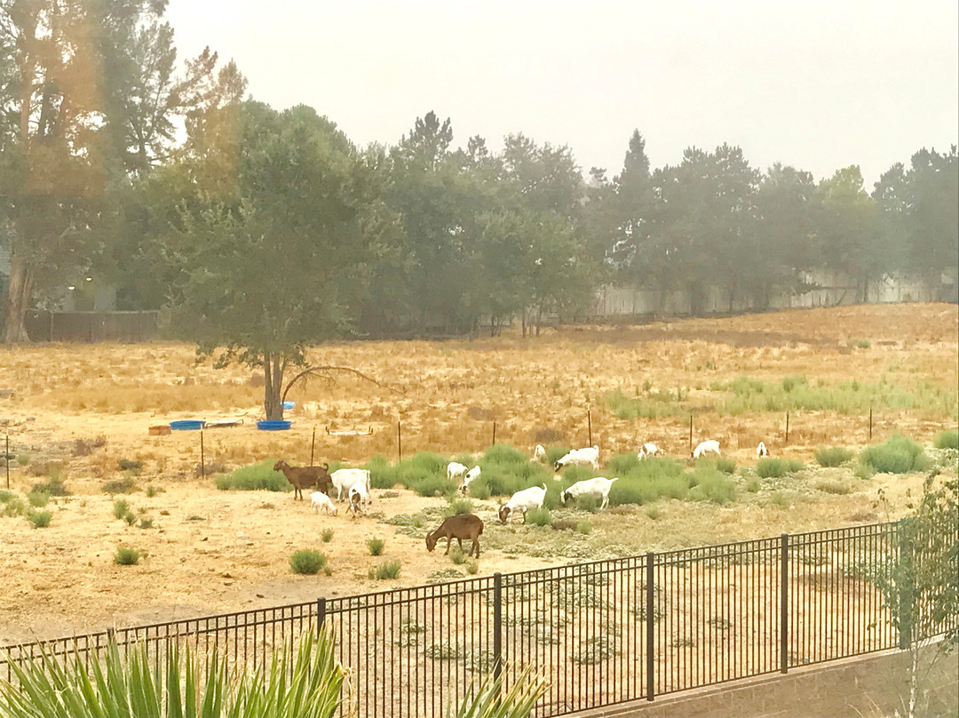 Holiday Inn Windsor - Wine Country By IHG主图