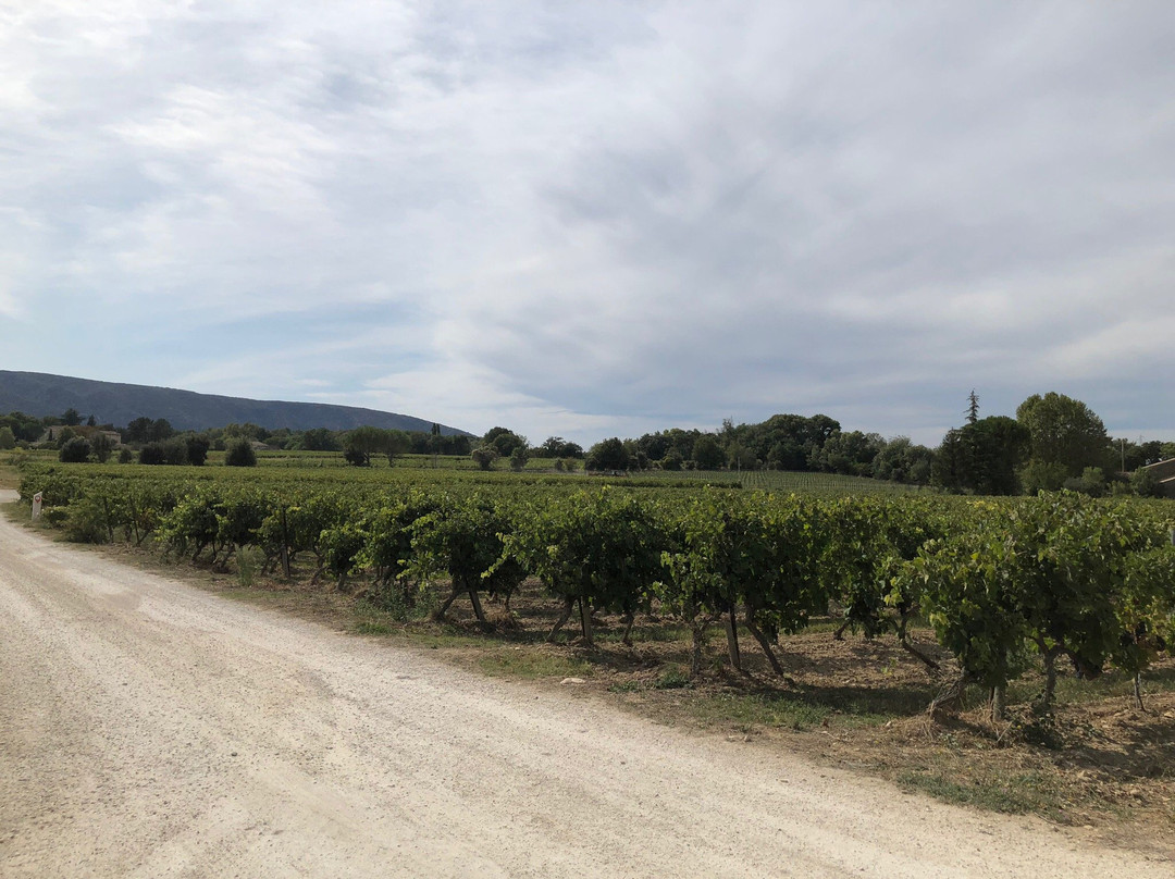 Domaine La Garelle景点图片