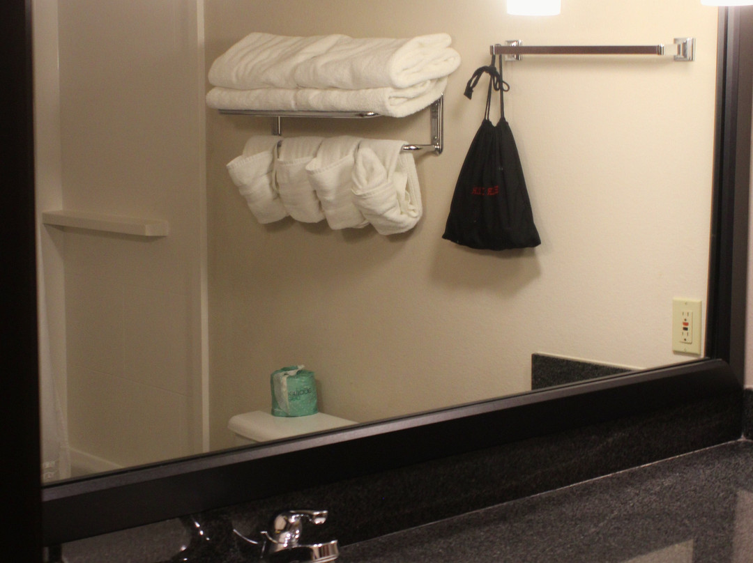 Best Western Plus Mckinney Inn & Suites主图