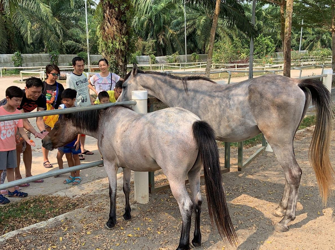 Sinar Eco Resort主图