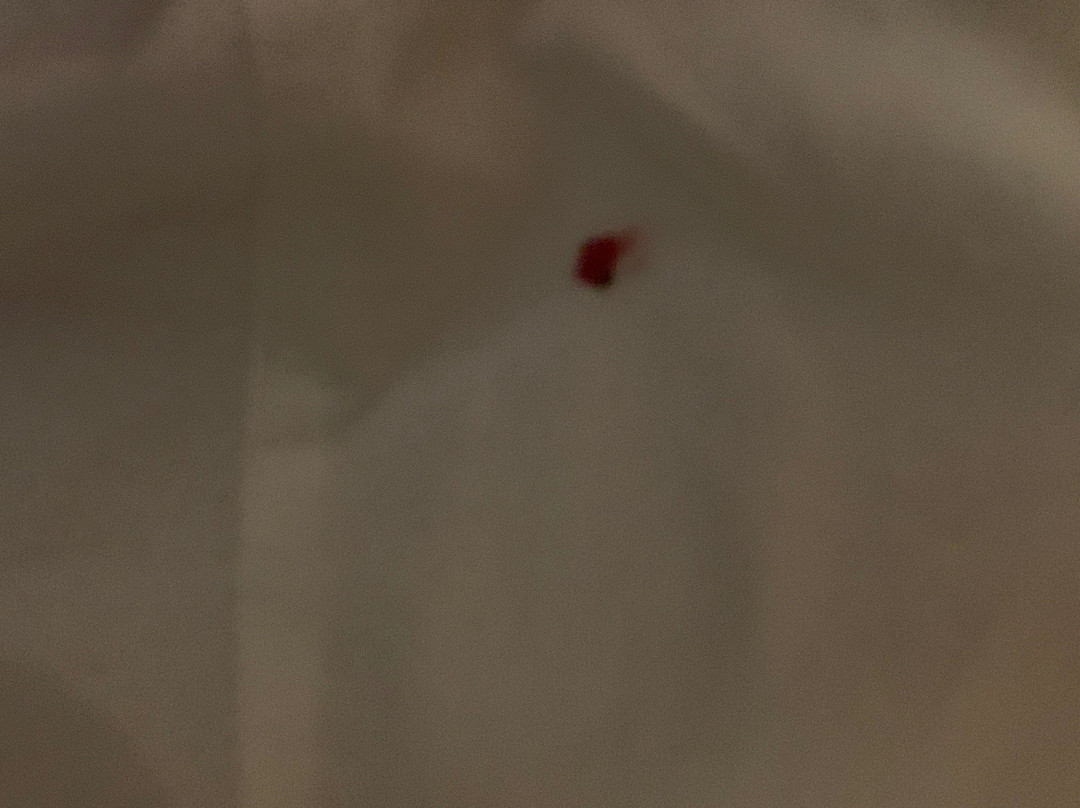 Bali Natha Beach Front主图