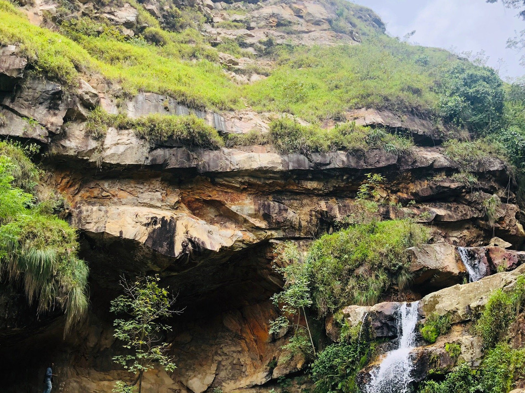 Chorros de Milla Zoo-梅里达市必去景点