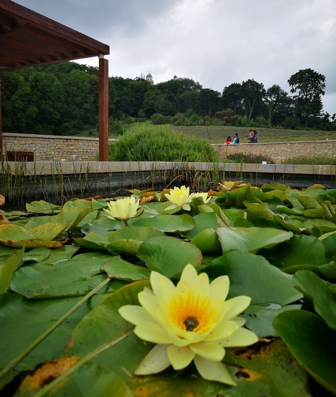 Pannonhalma Abbey Gardens and Herbal Lavender House-Pannonhalma必去景点