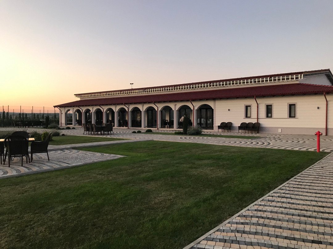 Domeniile Panciu Winery & Resort主图