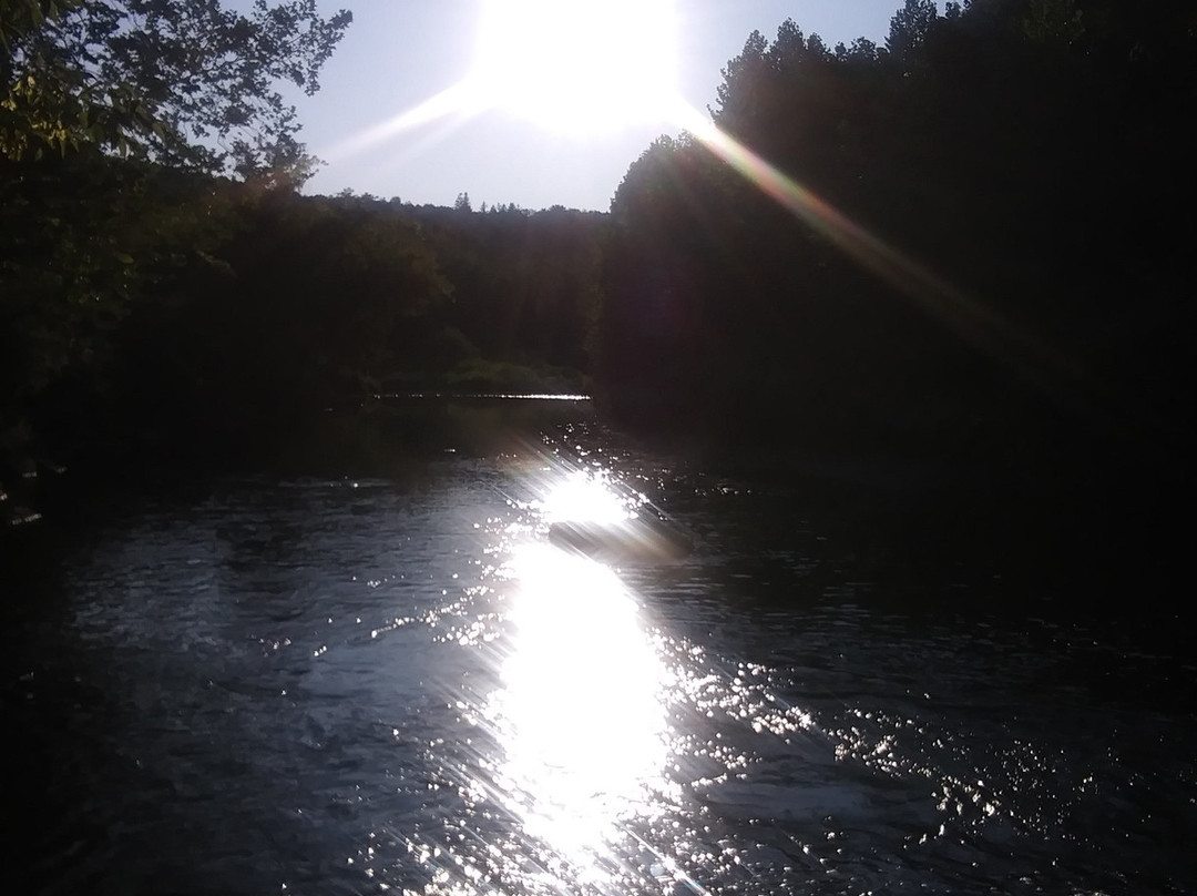 Sonoma Falls-Livingston Manor必去景点