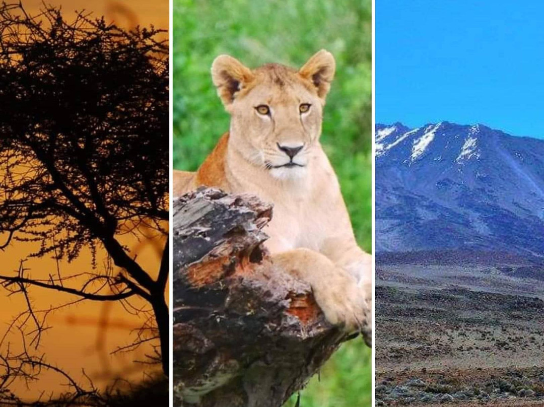 FB Tanzania Expeditions景点图片