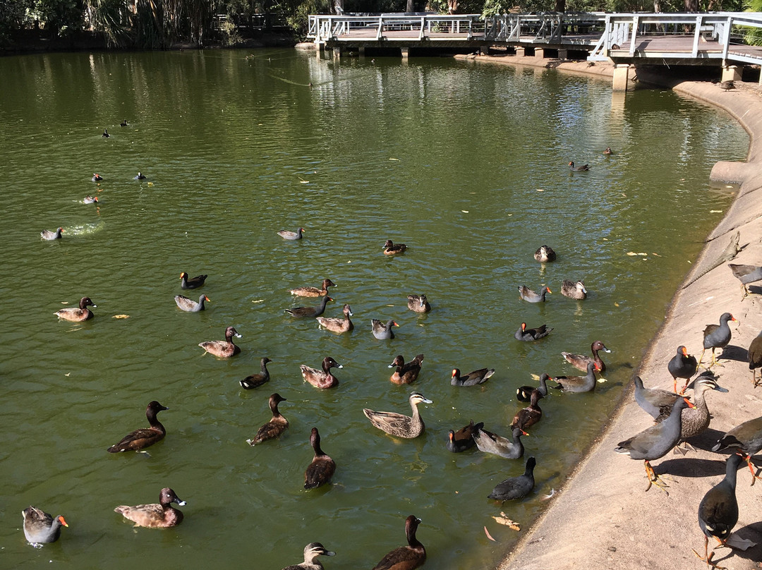 Bundaberg Botanic Gardens景点图片