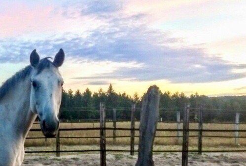 Grace Grange Lodge and Stable主图