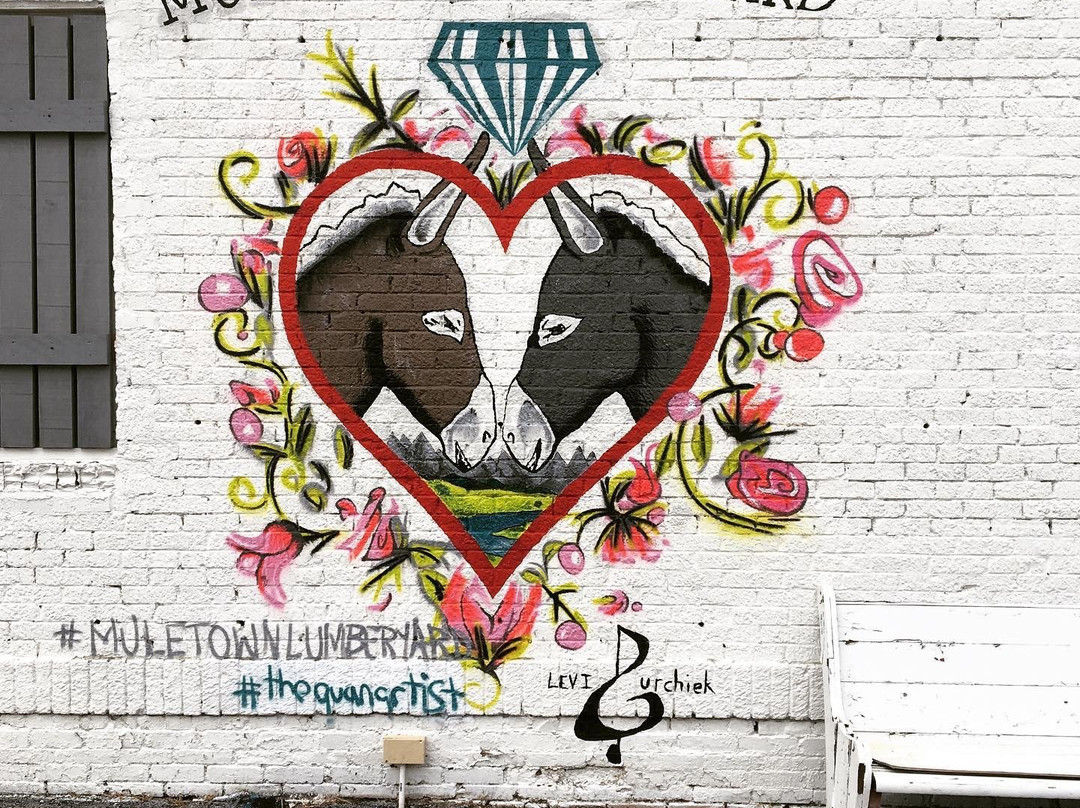 Columbia Town Square-哥伦比亚必去景点