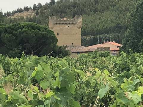 Castillo de Cuzcurrita Wine Cellar-Cuzcurrita de Rio Tiron必去景点