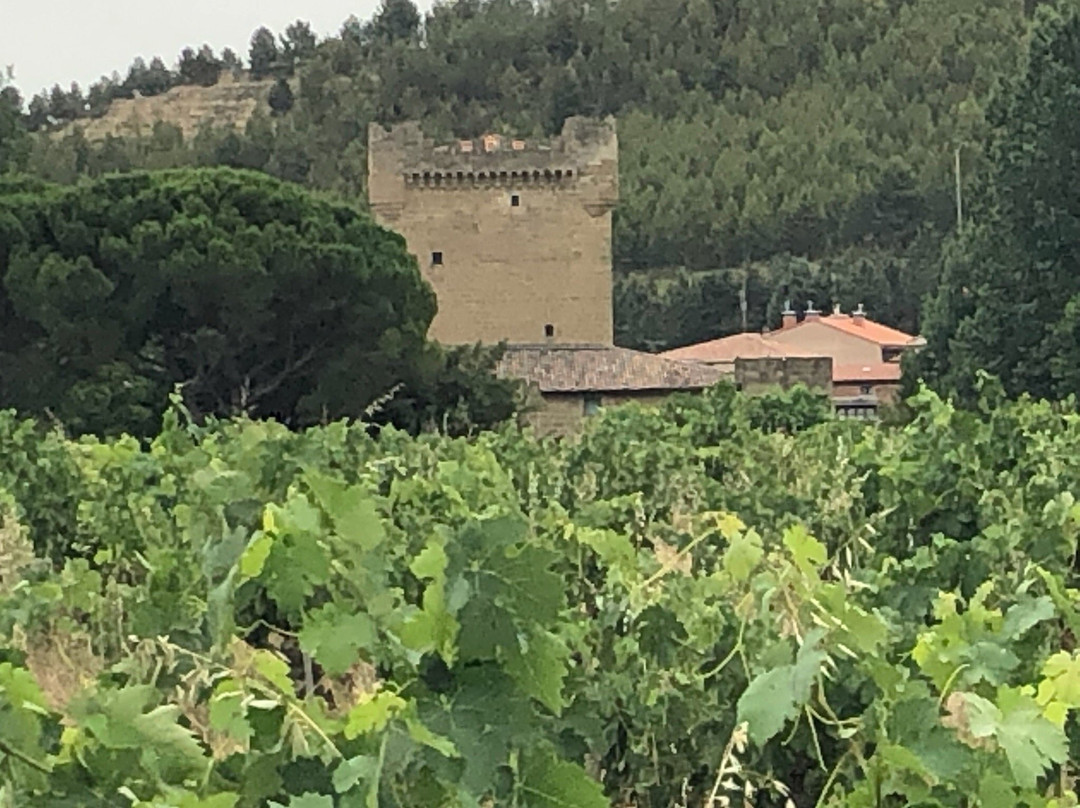 Castillo de Cuzcurrita Wine Cellar景点图片