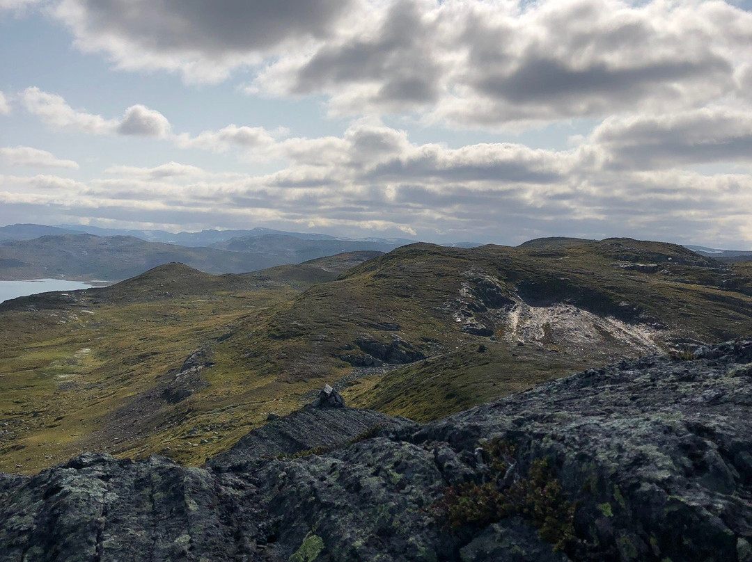 Hardangervidda National Park景点图片