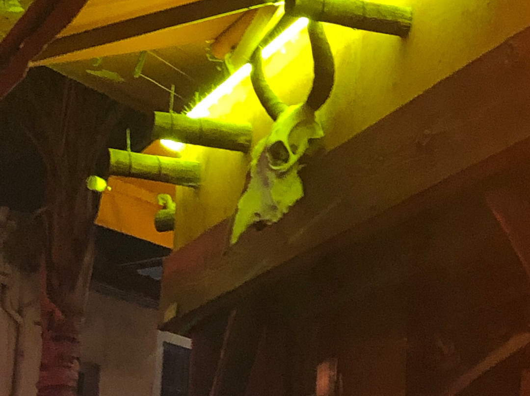 Zapata mexican bar-若安乐松必去景点