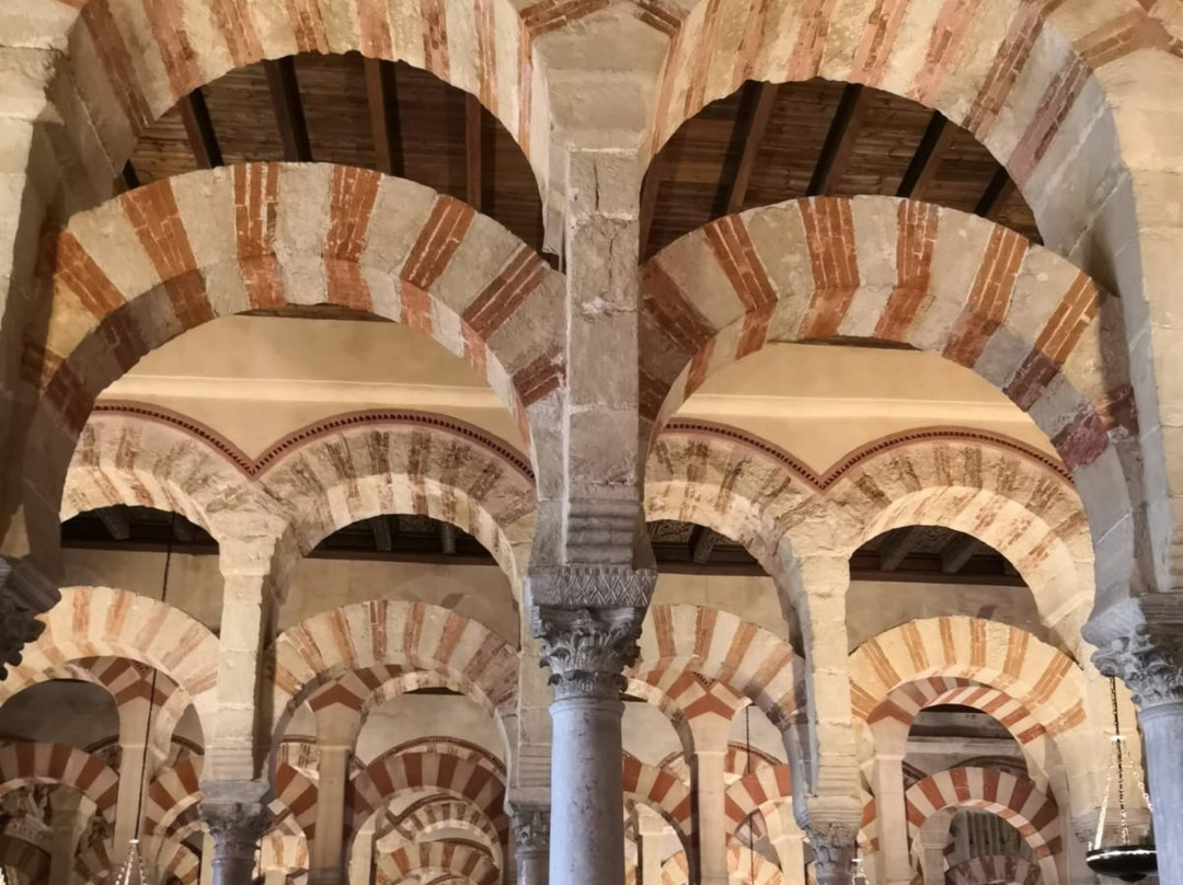 Andalucia Tours & Discovery-塞维利亚必去景点