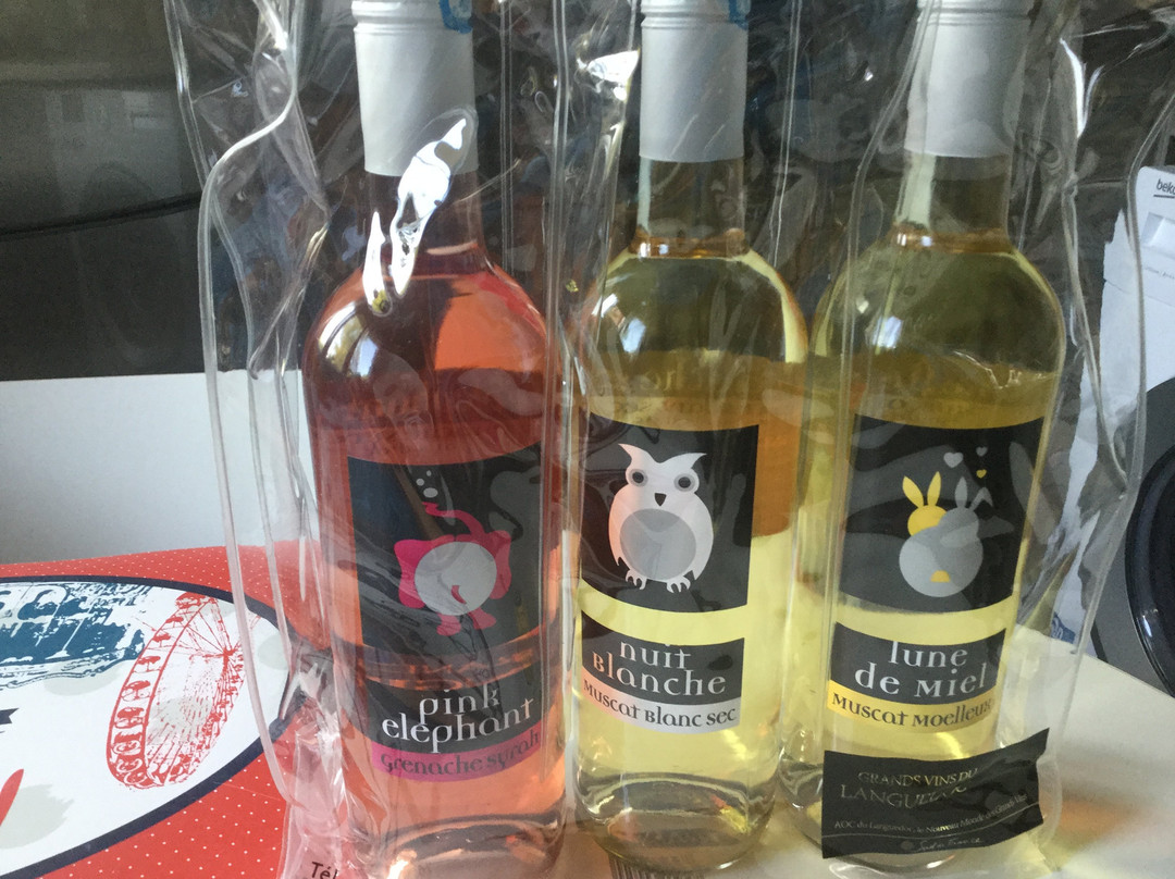 Maison Mediterraneenne des Vins-勒格罗迪鲁瓦必去景点
