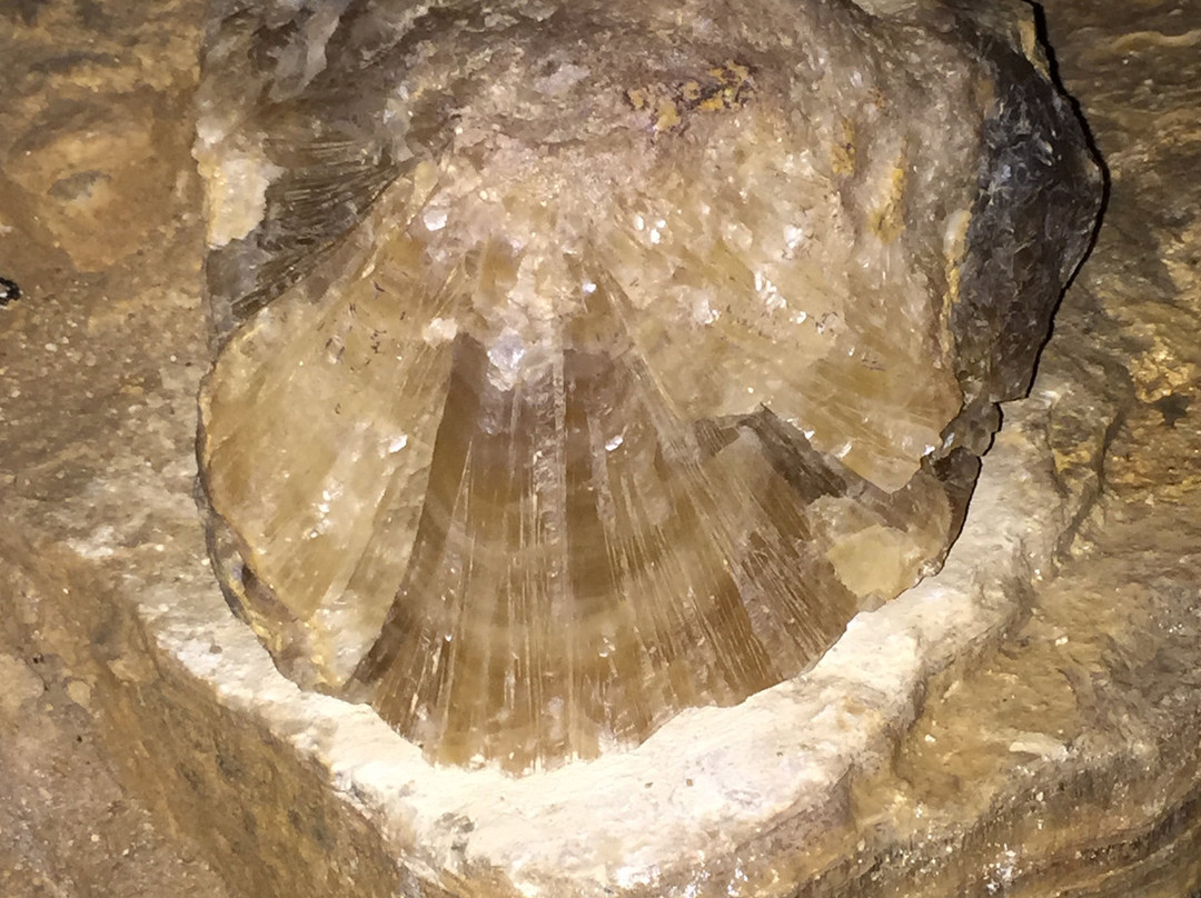 Risovaca Cave-Arandjelovac必去景点