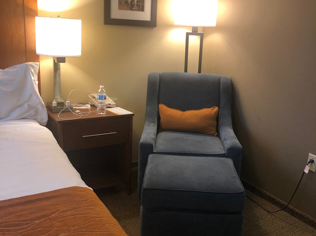 Comfort Inn & Suites主图