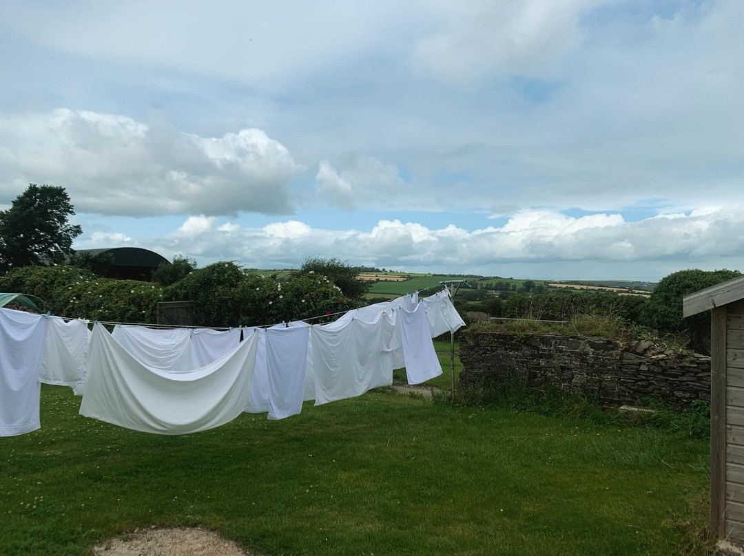 Sunville House主图