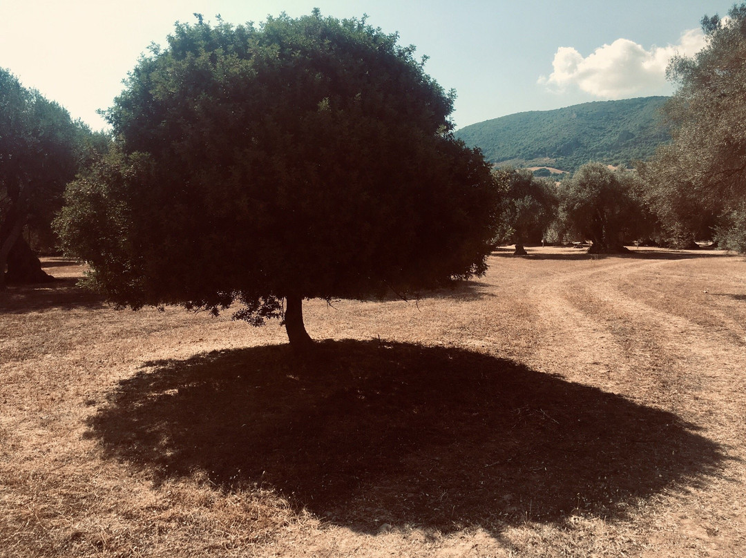 S'Ortu Mannu-Villamassargia必去景点