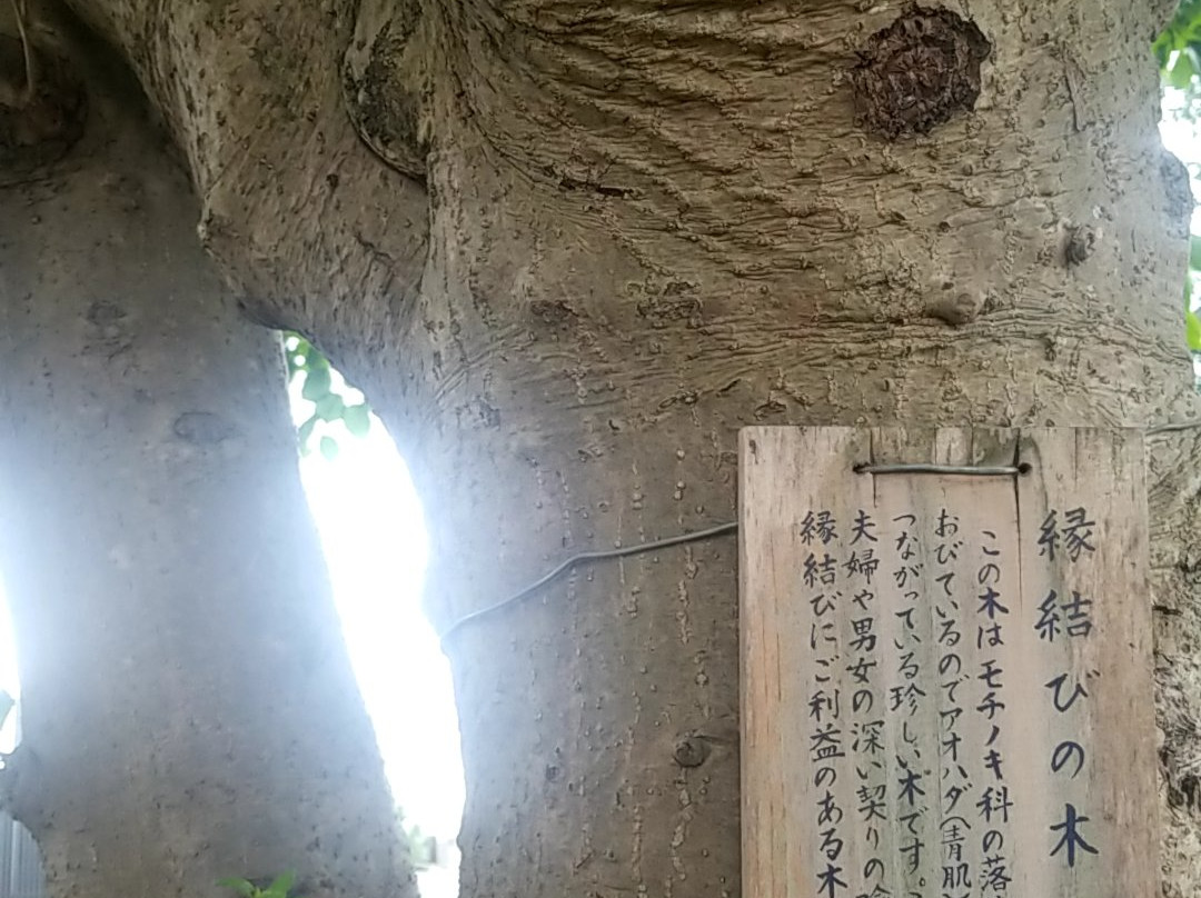 Izumo Shrine-入间市必去景点