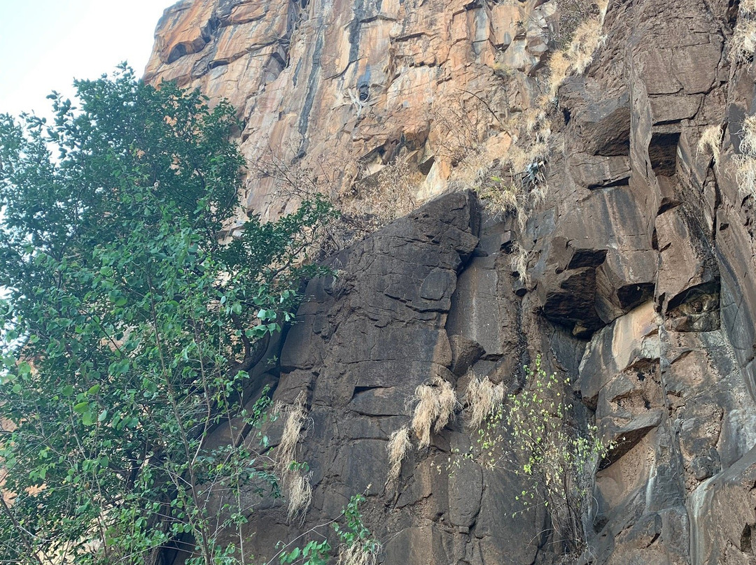 Zambezi Eco Adventures景点图片