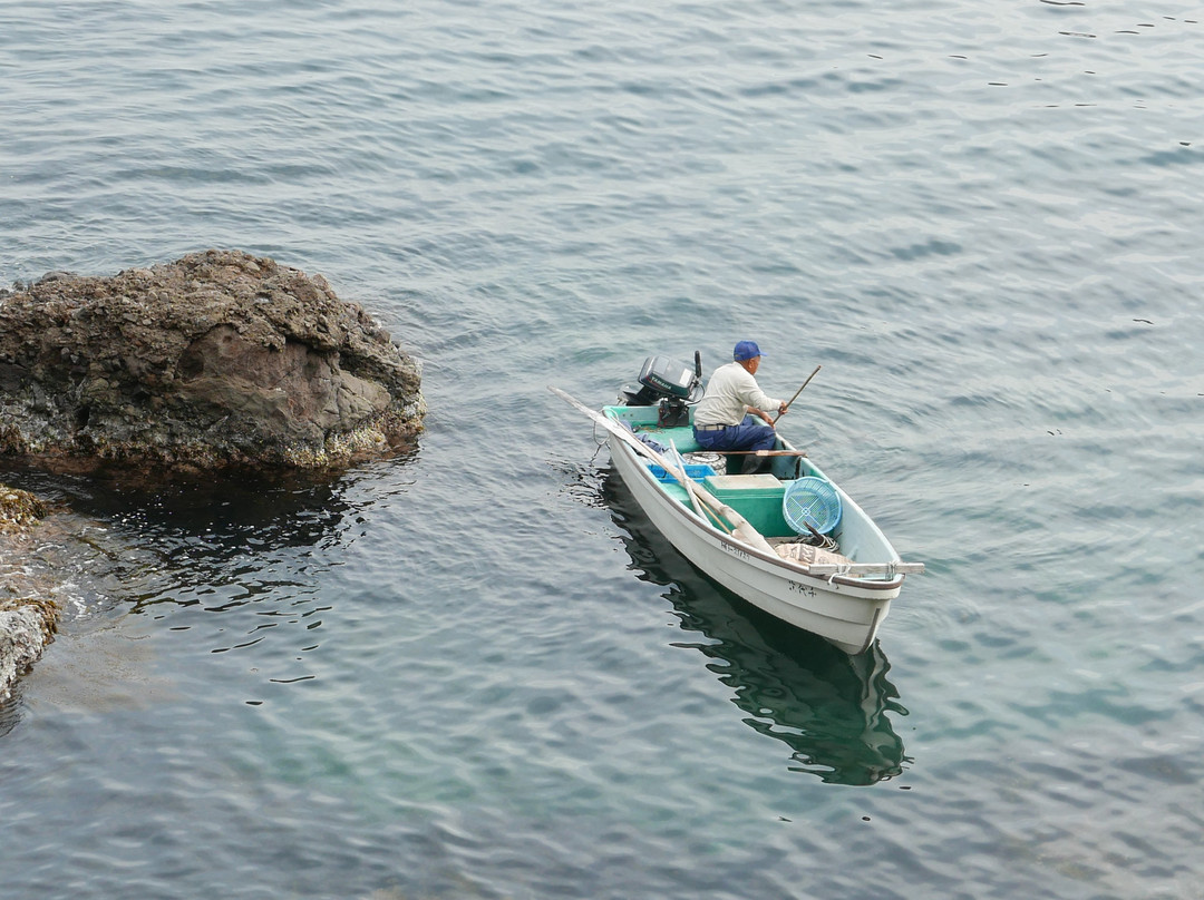 Hasakari Rock-丰冈市必去景点