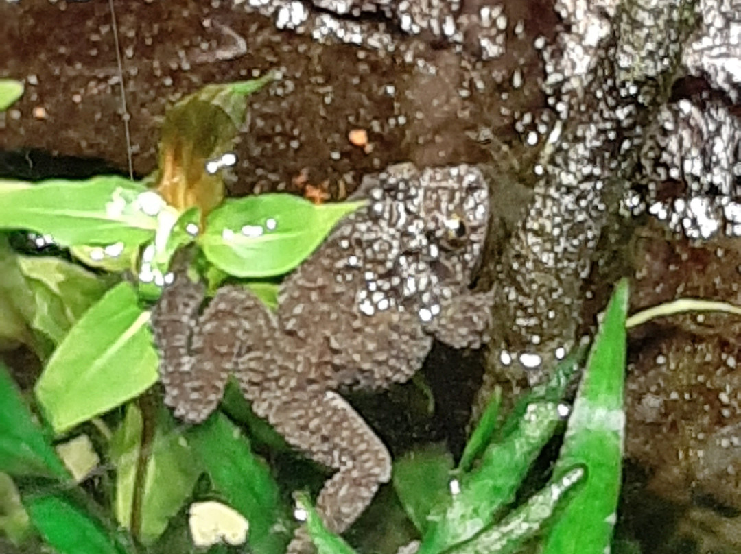 Tropicarium-Kolmarden必去景点