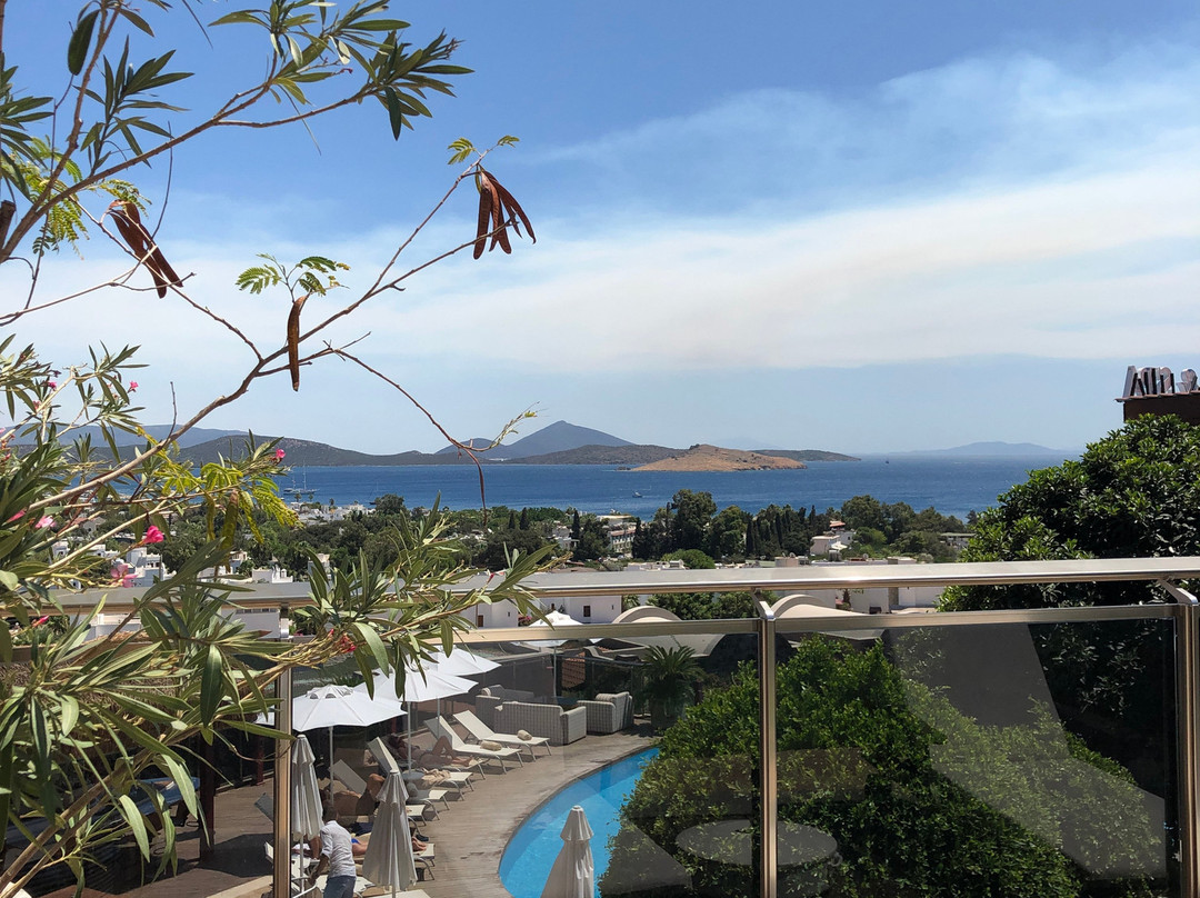 Temenos Luxury Suites Hotel & Spa主图