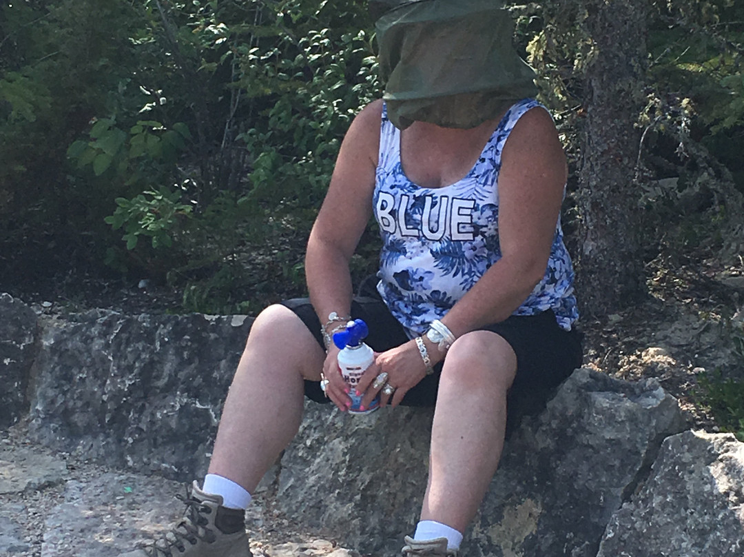 木野牛国家公园-Northwest Territories必去景点