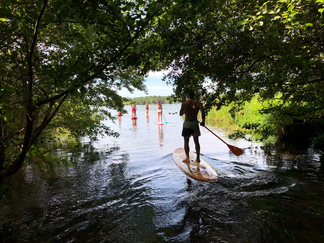 Supland Stand Up Paddle景点图片