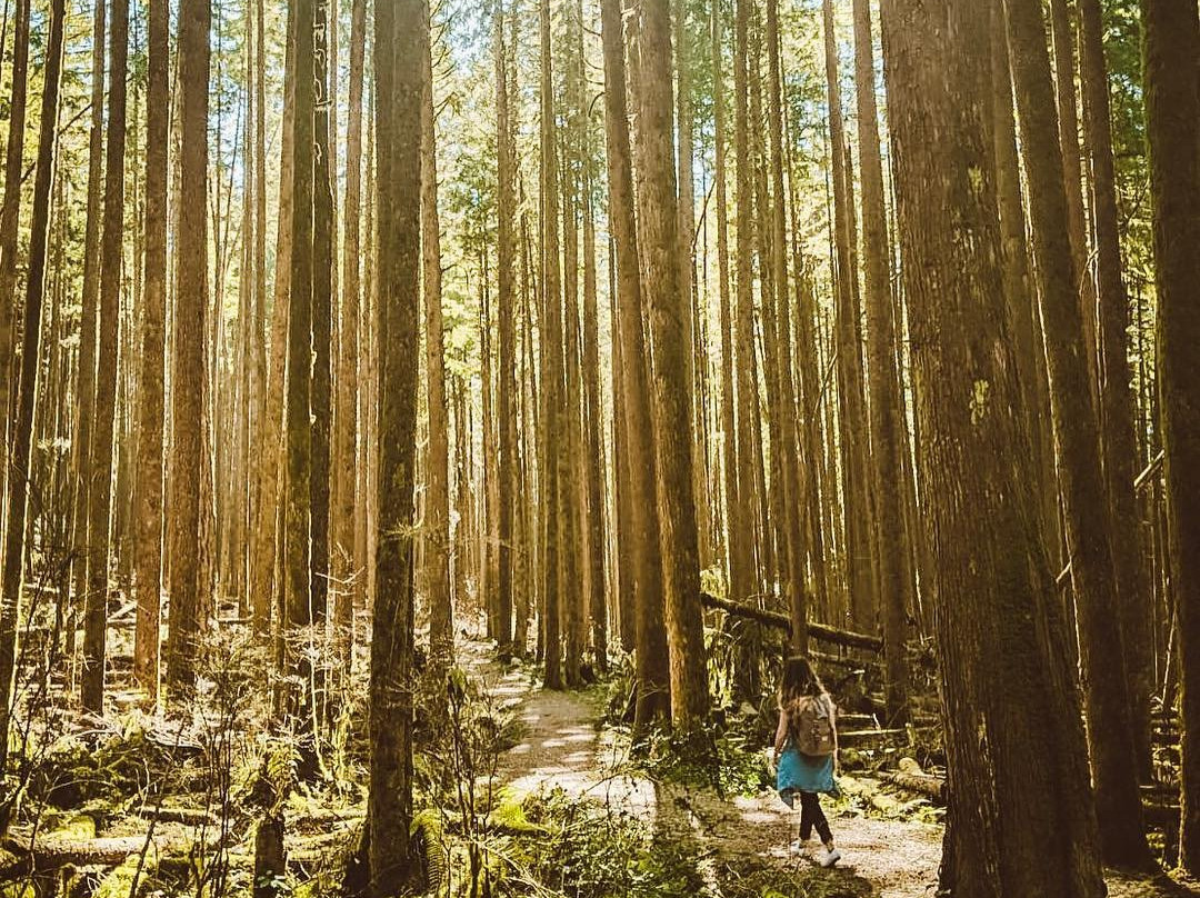 太平洋精神地区公园-温哥华必去景点