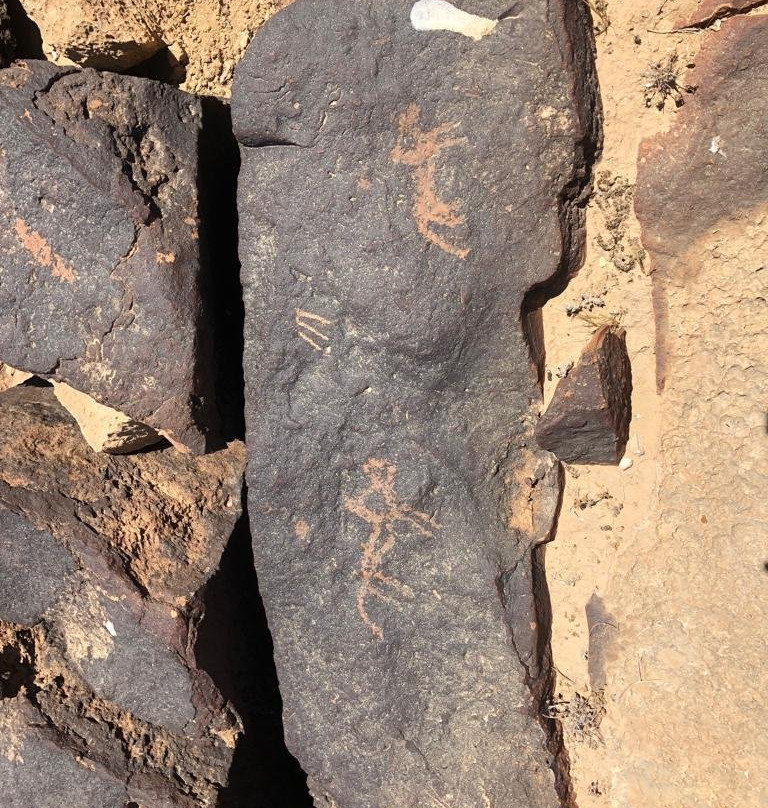 Negev Jeep-Sde Boker必去景点