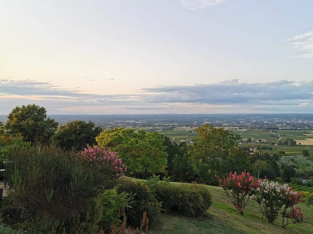 Le Miroir Des Etoiles主图