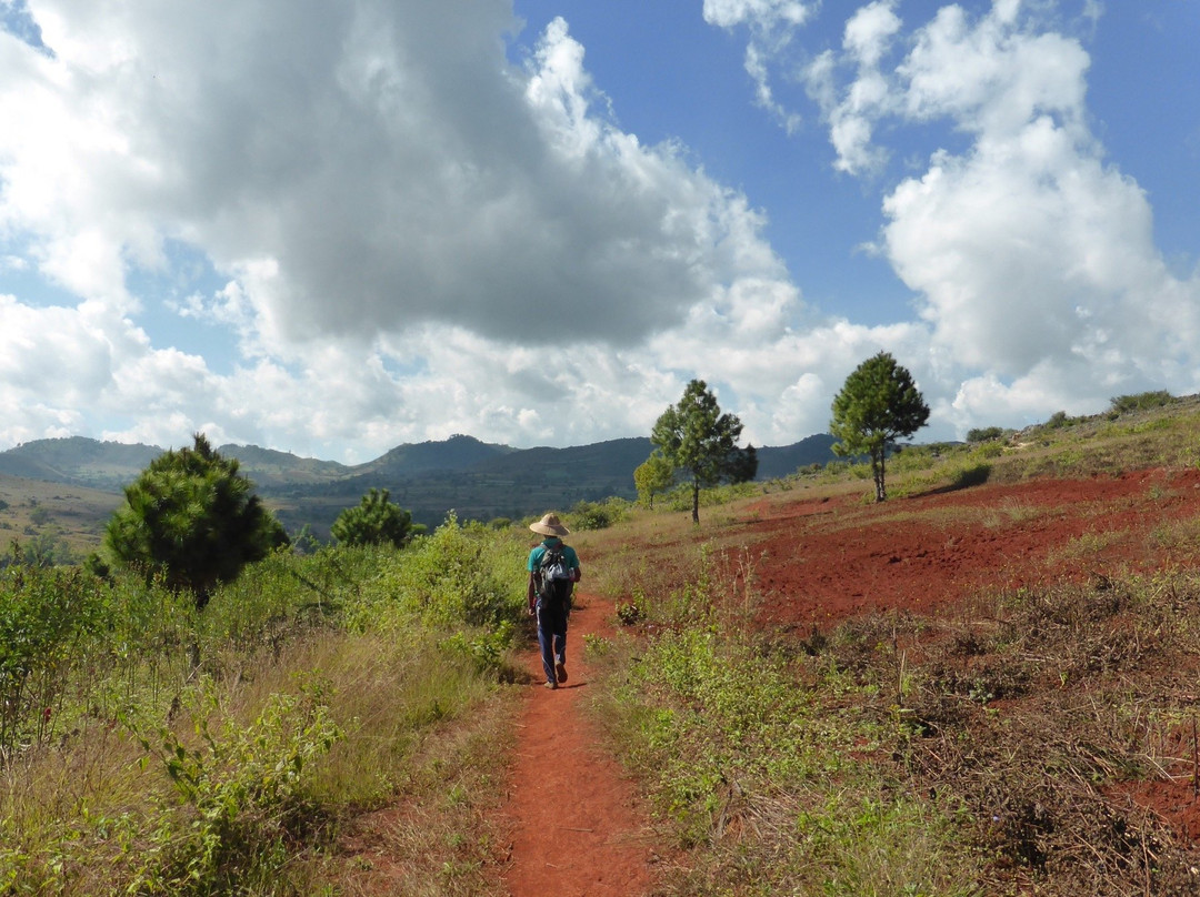 Timo Trekking & Tours景点图片