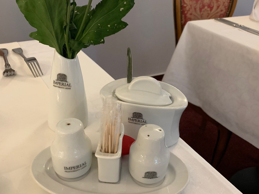 Imperial Spa & Kur Hotel主图