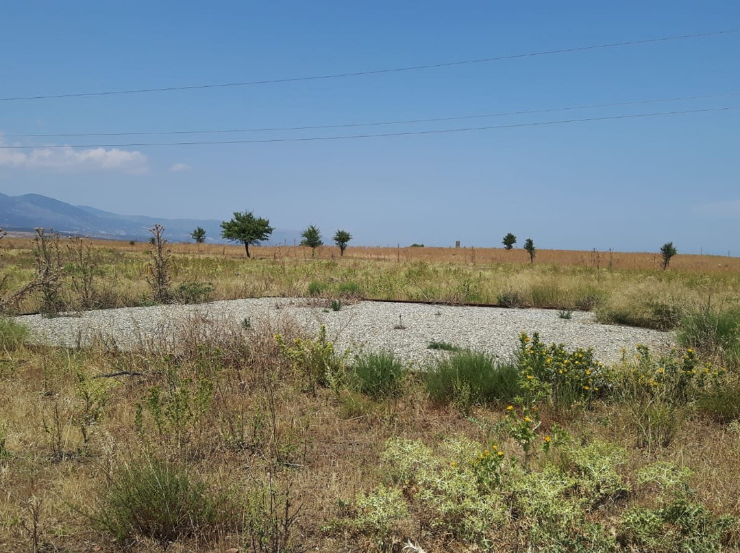 Parco Archeologico Torre del Mordillo景点图片