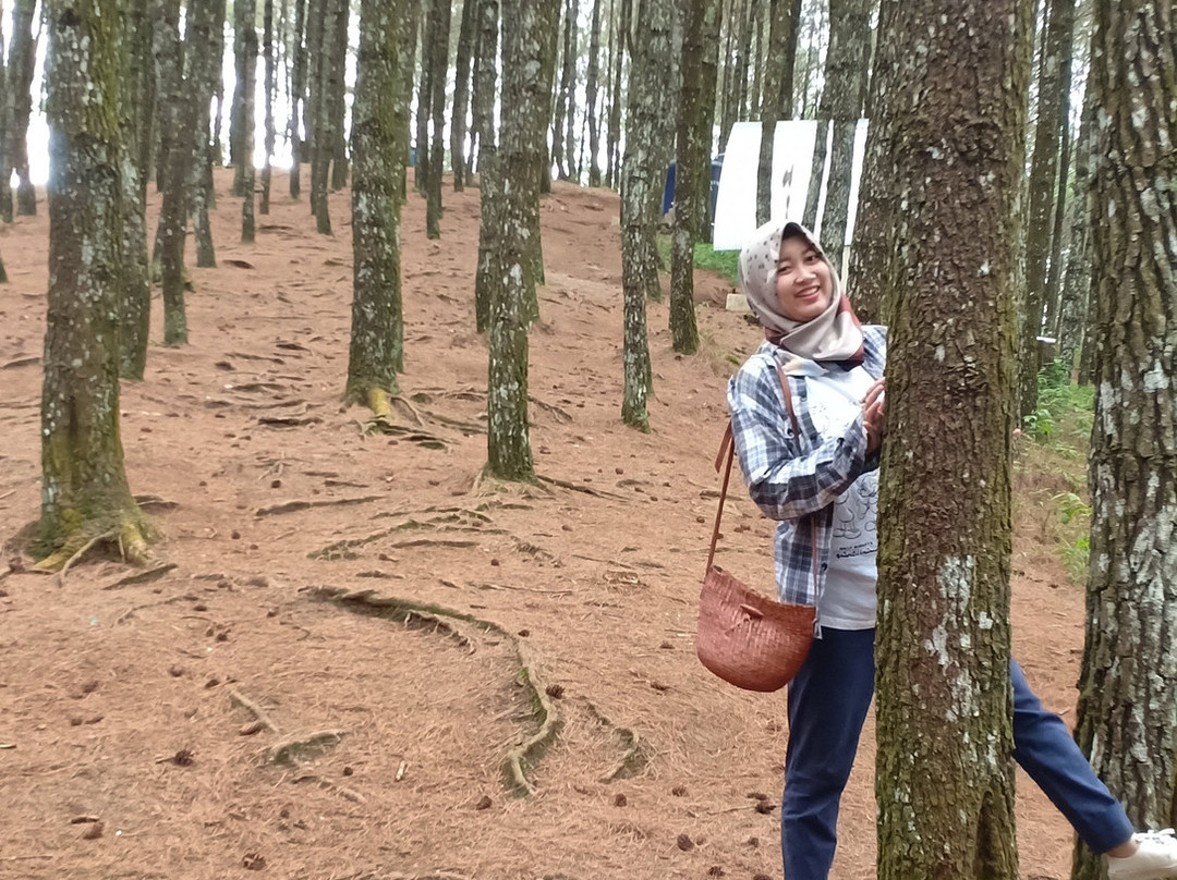 Moko Hill-万隆必去景点