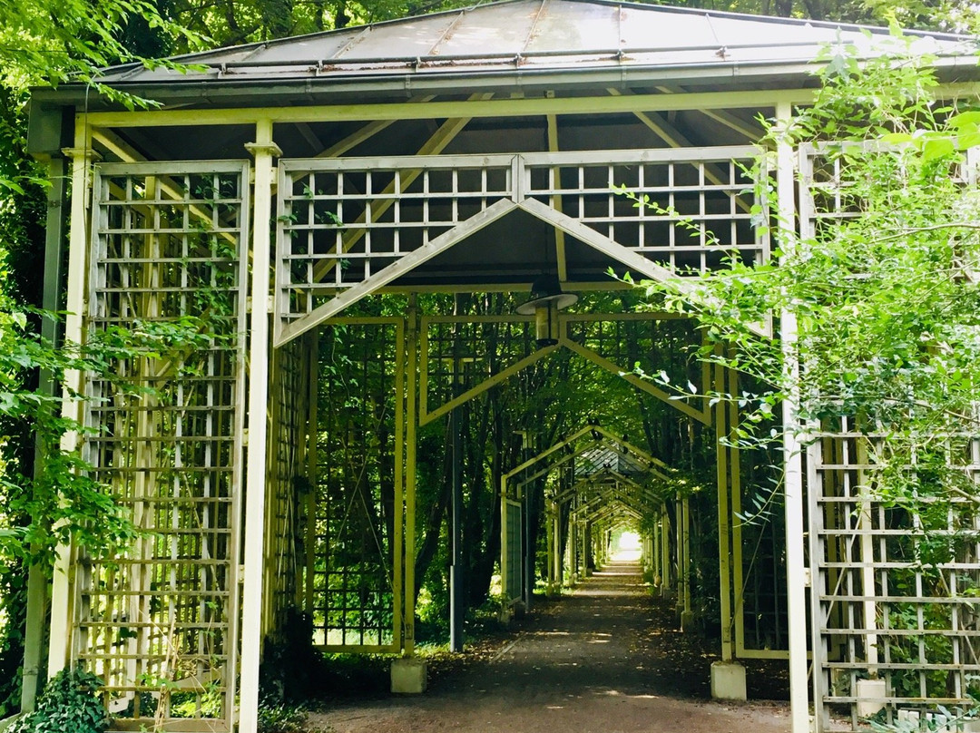 Kurpark Bad Aibling-巴特艾布灵必去景点