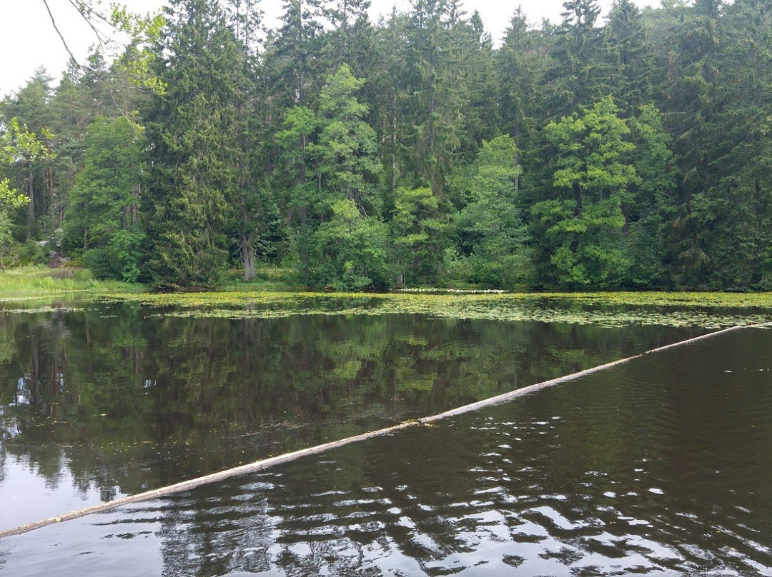 Schluehuewanapark-Grafenhausen必去景点