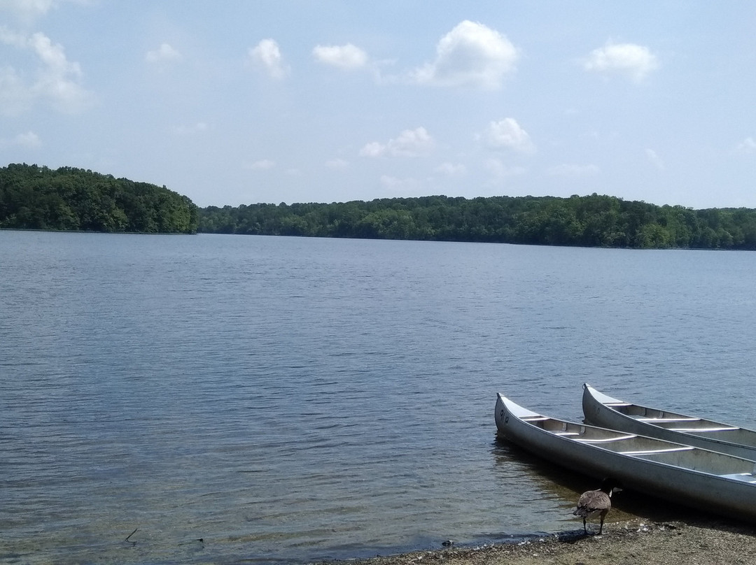 Burke Lake Park景点图片