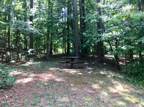 George Pierce Park-苏万尼必去景点