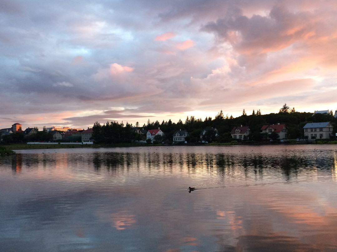 Lake Tjornin景点图片