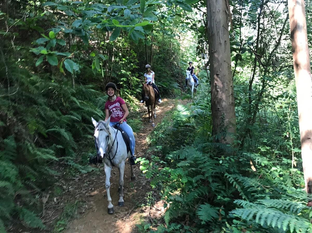 Aventuras a Caballo-Lamuno必去景点