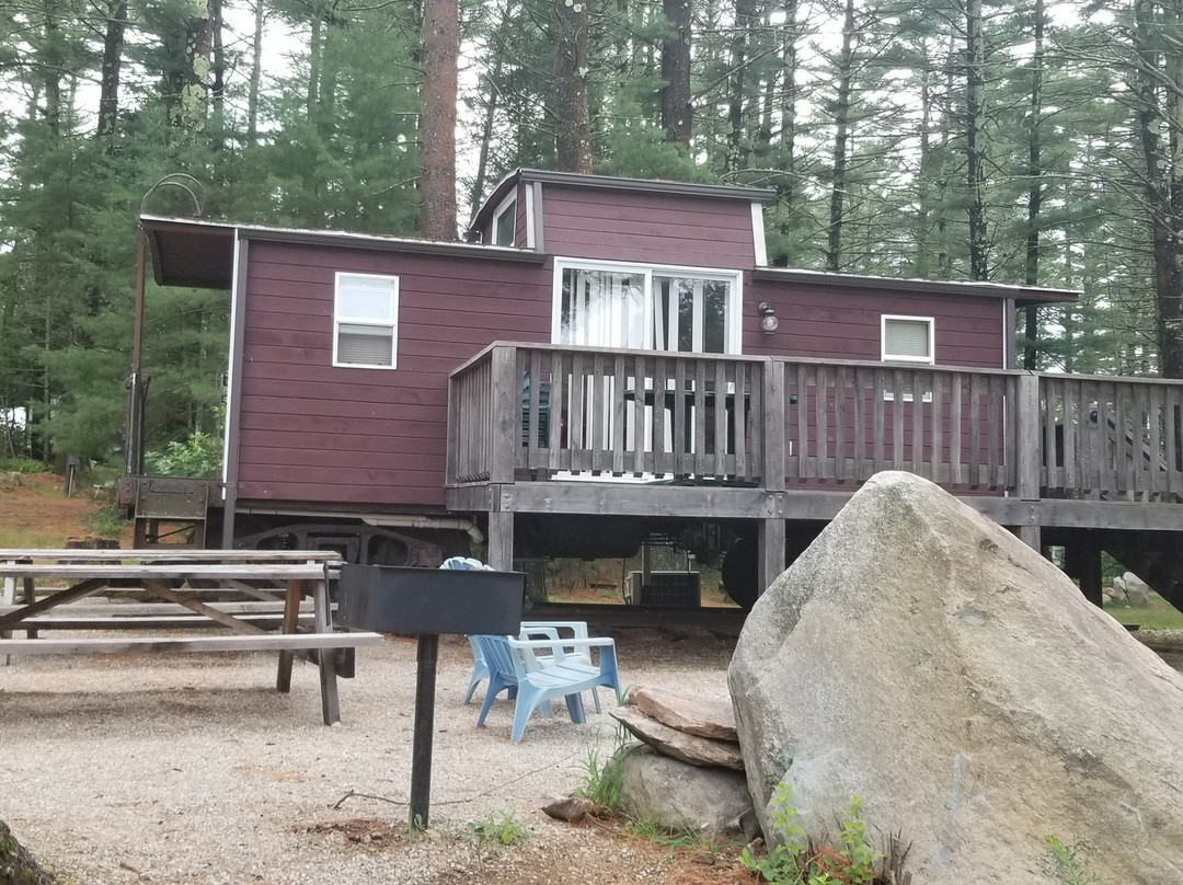 Nature's Campsite