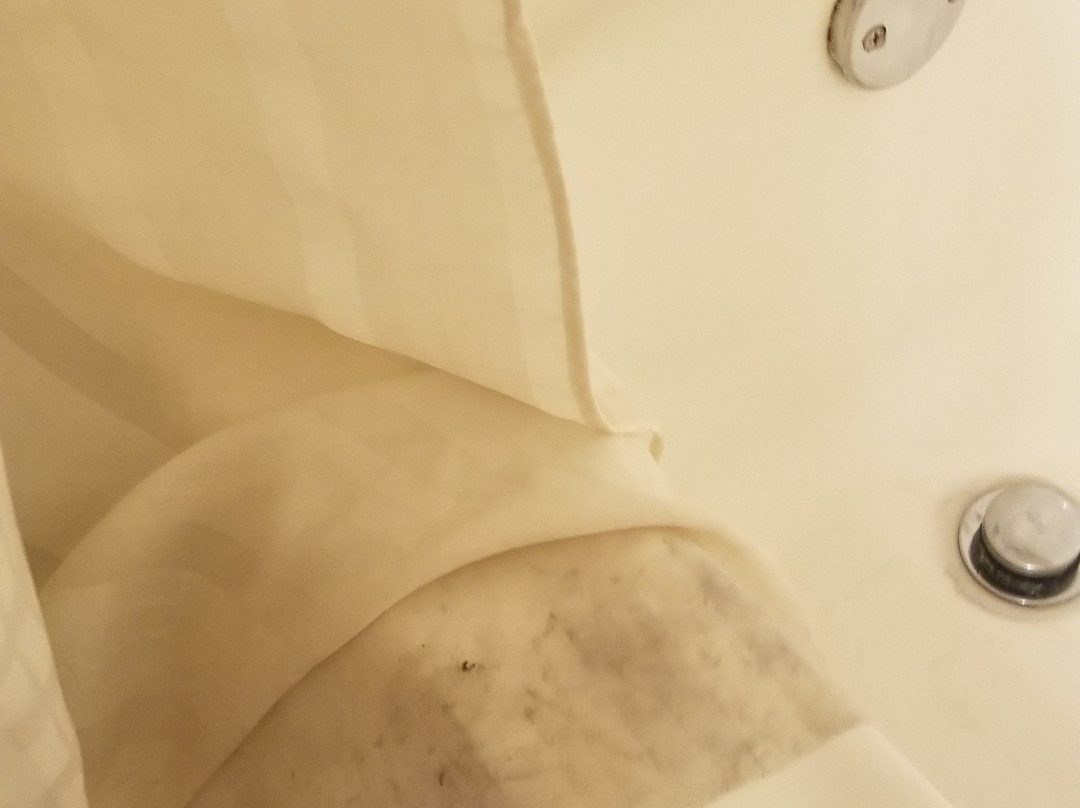 Super 8 by Wyndham Seville主图