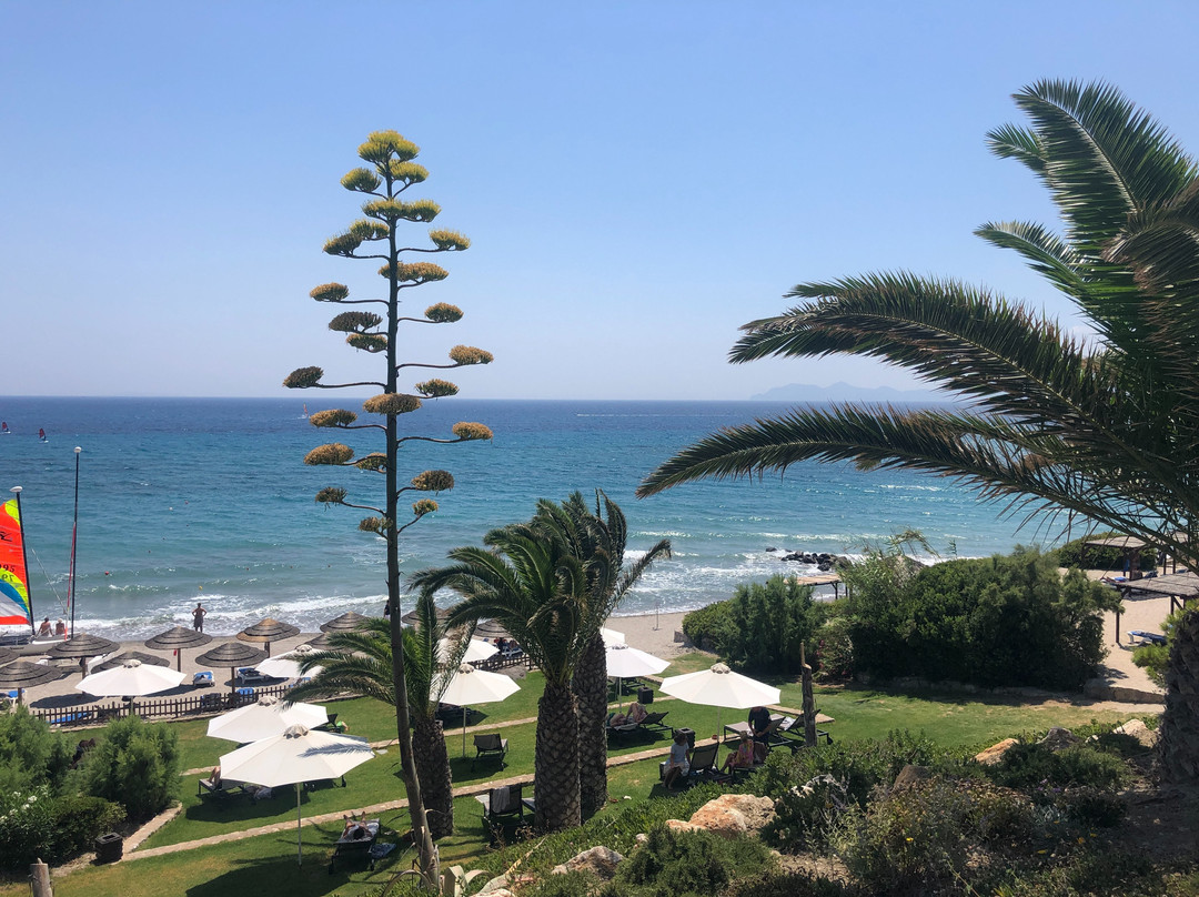 Robinson Daidalos主图