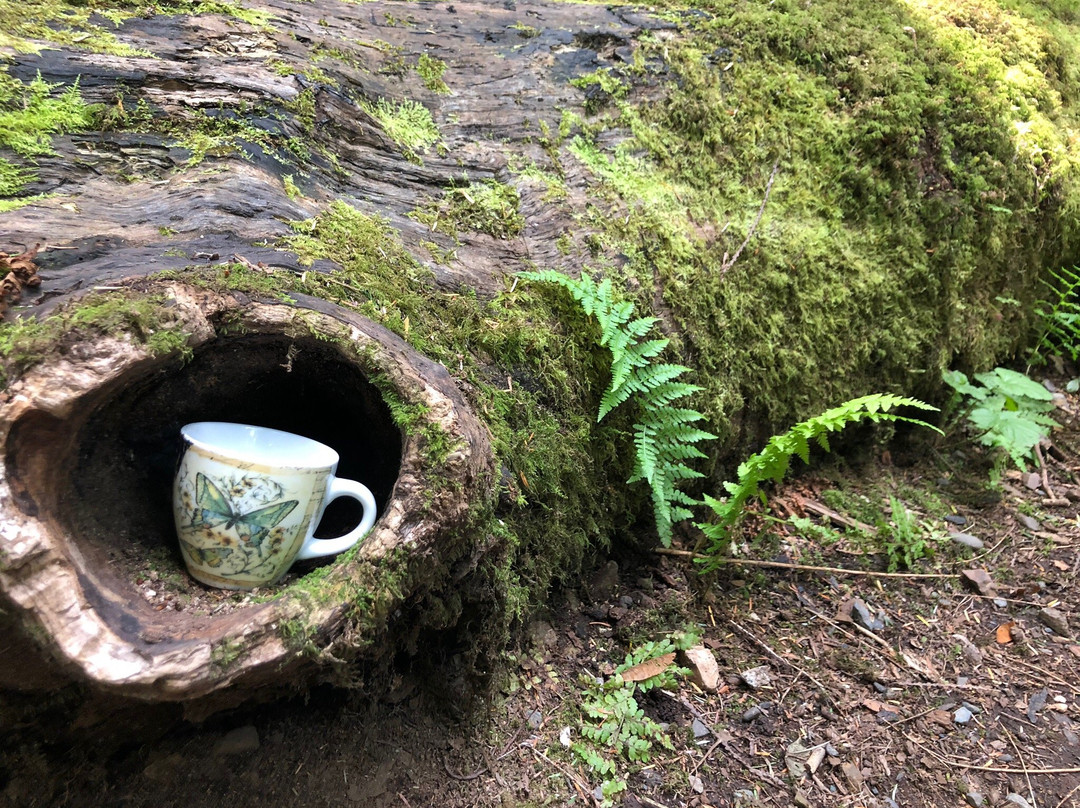 Teapot Hill-Cultus Lake必去景点