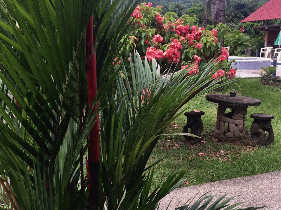 Hotel Villa Creole主图