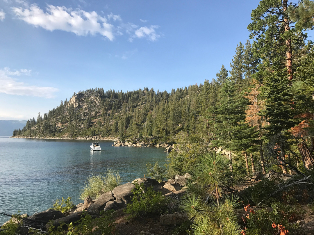 Skunk Harbor-卡森城必去景点