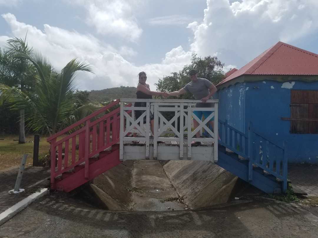 Double The Fun Tours-Cole Bay必去景点